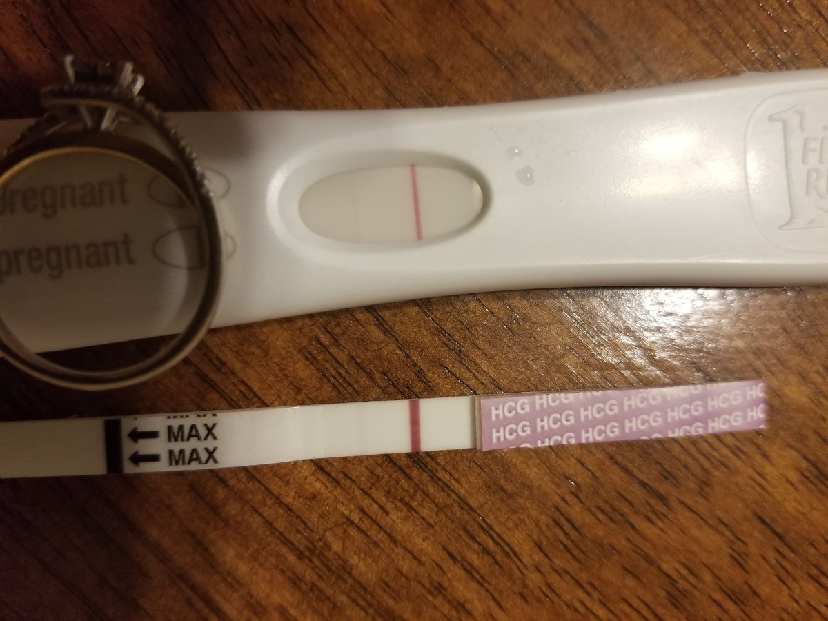 surrogacycanada's tweet photo. Can you see the early positive? +++ One of our surrogates who transferred a week ago just saw these beautiful lines! #surrogacy #surrogacycanada #itspositive https://t.co/ALWPt6QQC7