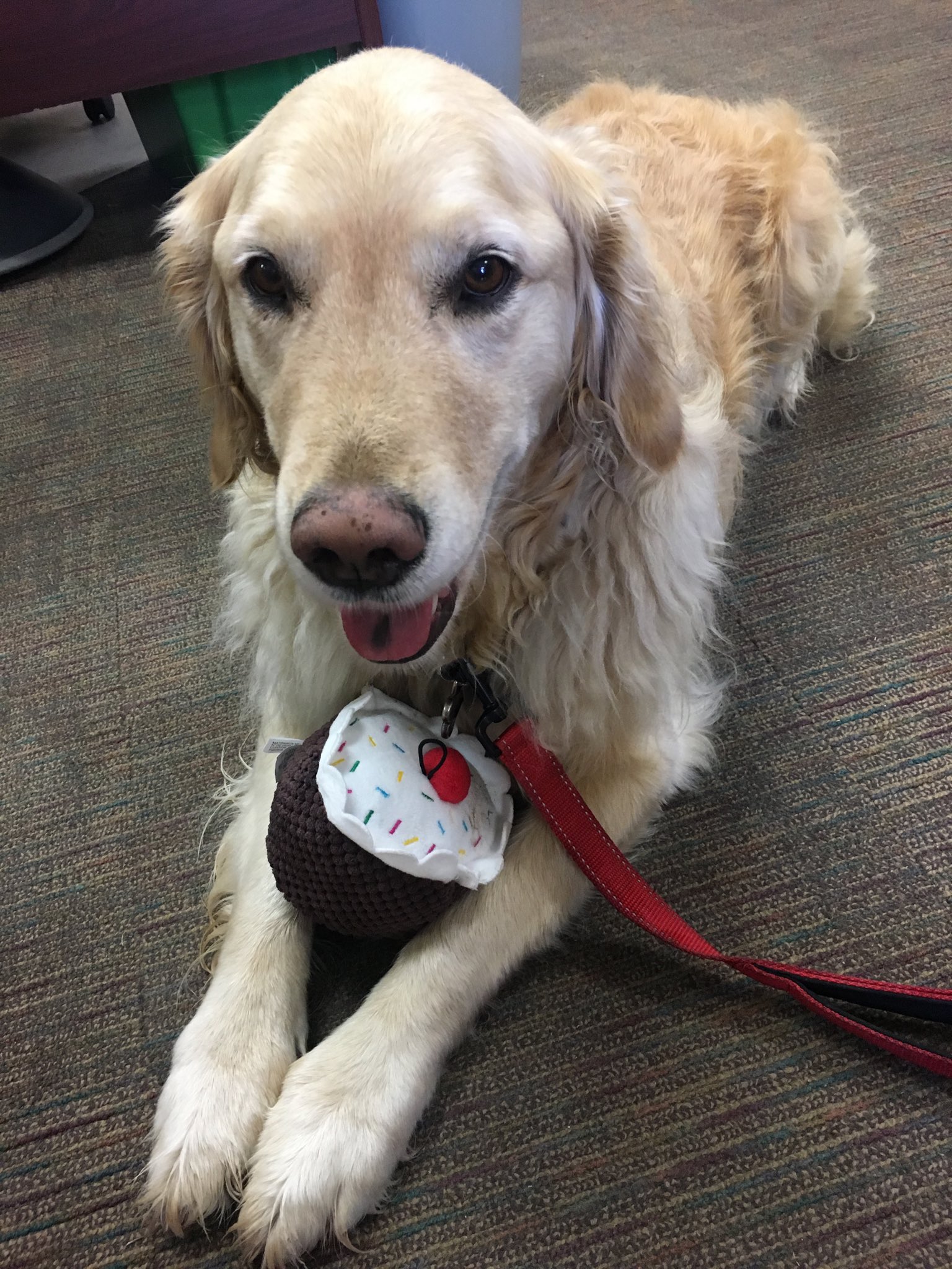 Happy 5th BDay to me!  Thanks for all the love  !   and for this cupcake treat     