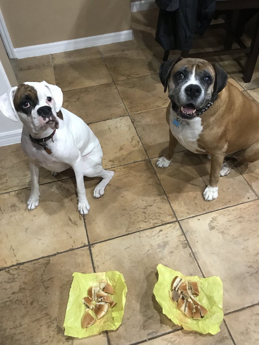 My Bella & Nick having their #freedomburgers in honor of #JeffNix who was big in the boxer rescue world. He was tragically killed in a car accident on Saturday after he just dropped off his last rescue boxer.