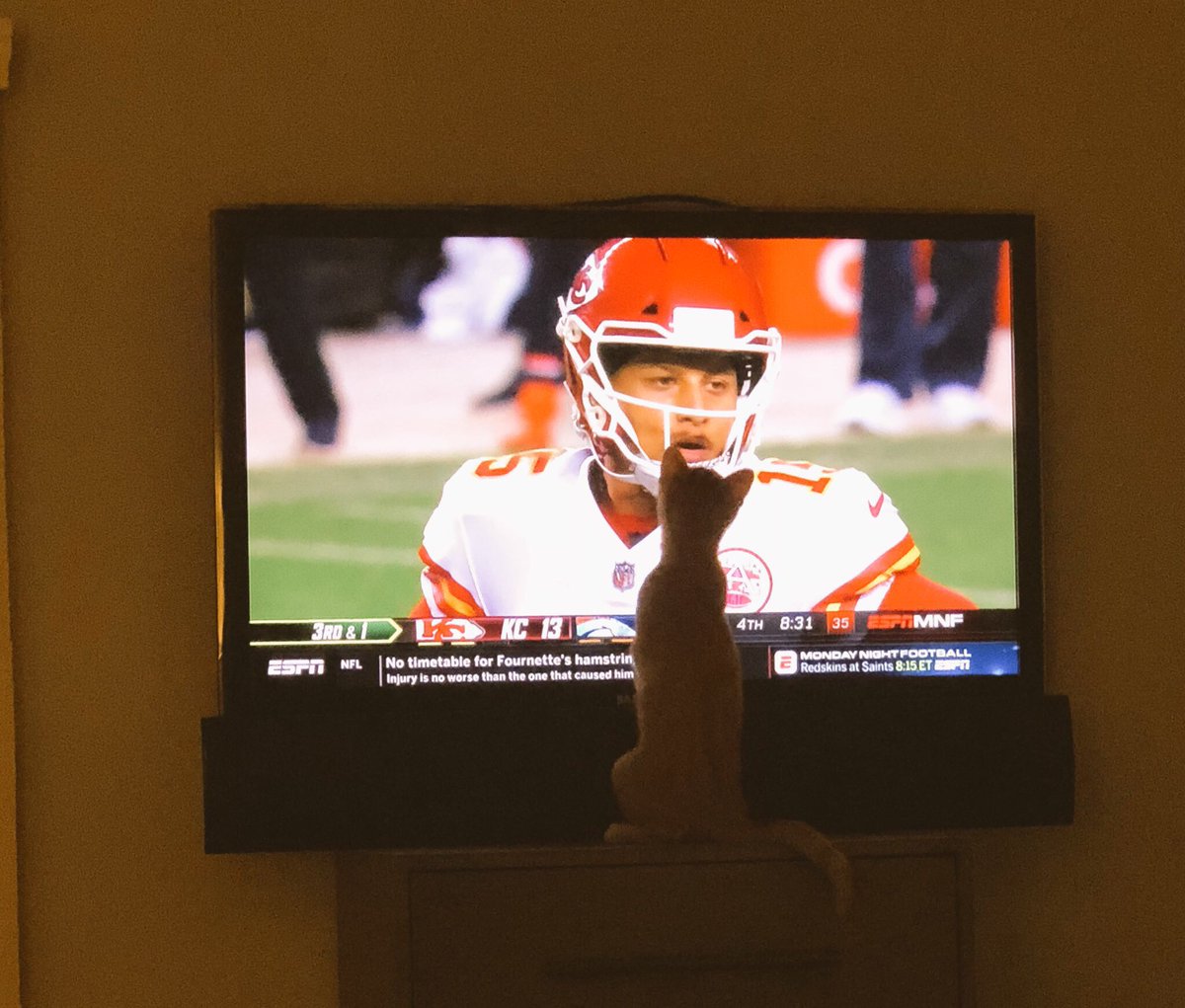 lizalinnmoler's tweet photo. Hey Homie, We Want A Win! #ChiefsKingdom #CatChats #CoachGus #Chiefs #PatrickMahomes #MNF https://t.co/13rR8P0FEn