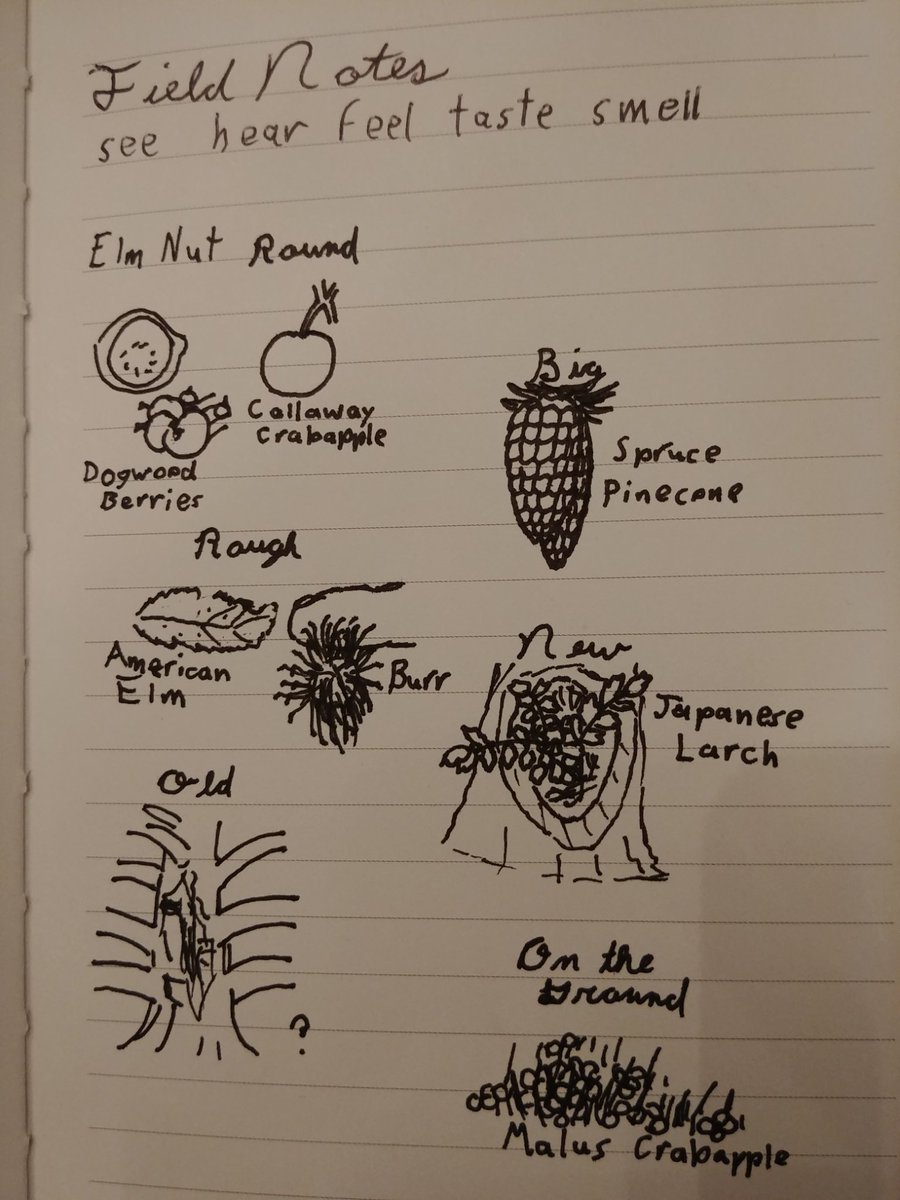 Is_This_The_IRL's tweet photo. Inktober! Gotta make it before midnight!!! Prompt? Poisonous??? Um I just have nature stuff, do dogwood berries count, sure they count, nailed iiiit! #inktober https://t.co/hGZXZzkCyd