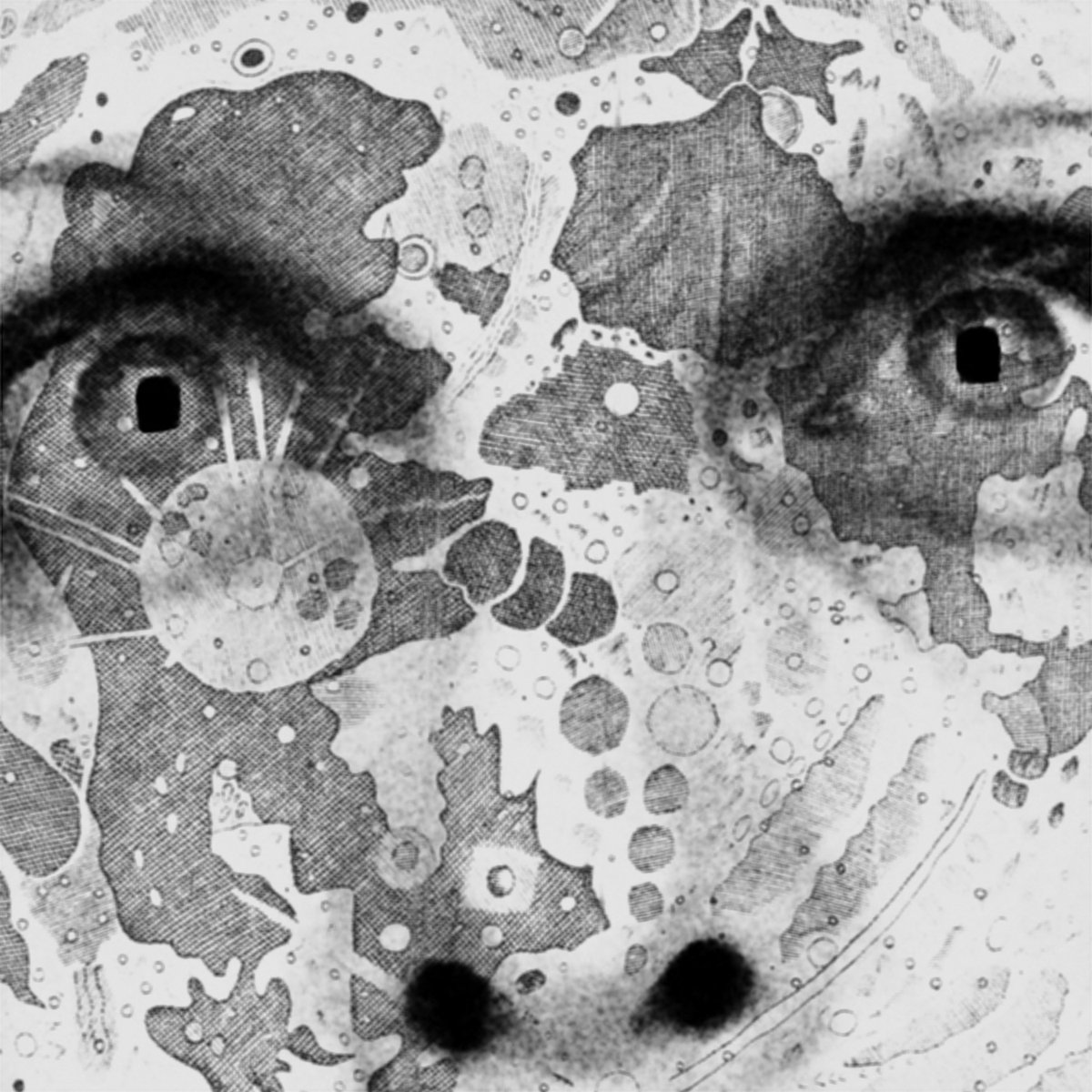 _knor's tweet photo. LE MENU- AUDIOVISUAL, TWIST AND HELL https://t.co/wGHUGYSFOl