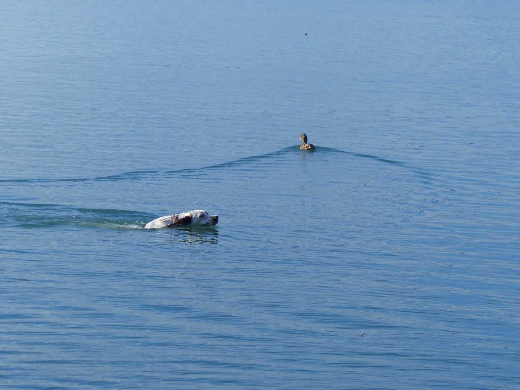 Dave French - Digital Nomad and innovator. tweet media