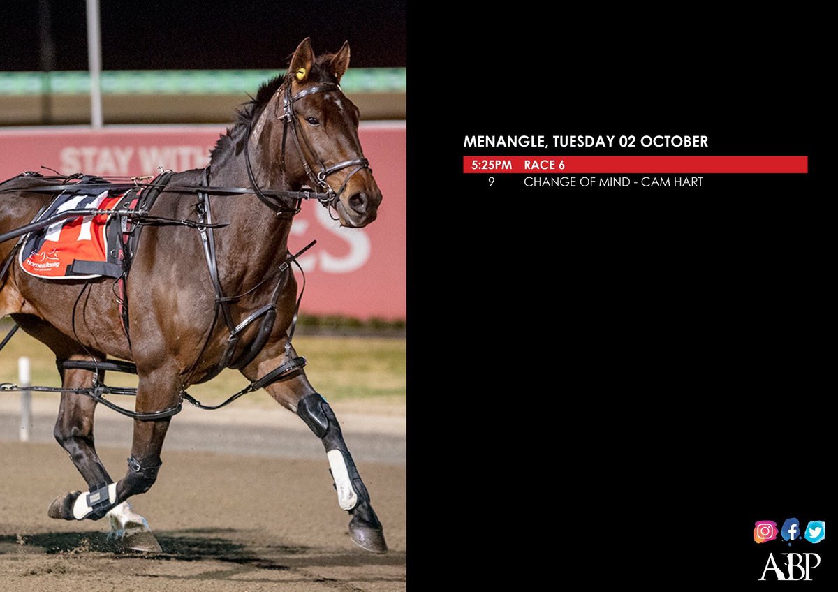 racing_shane's tweet photo. 🐎 https://t.co/ND7FN0EjAp