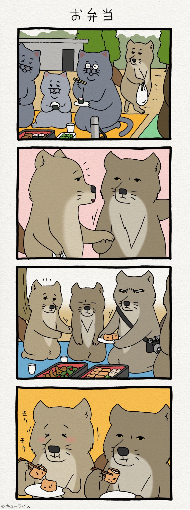 キューライス 在 Twitter 上 過去編 チベットスナギツネの砂岡さん お弁当 Lunch T Co Uigh1kbnmu T Co 5s1ebe6brz Twitter