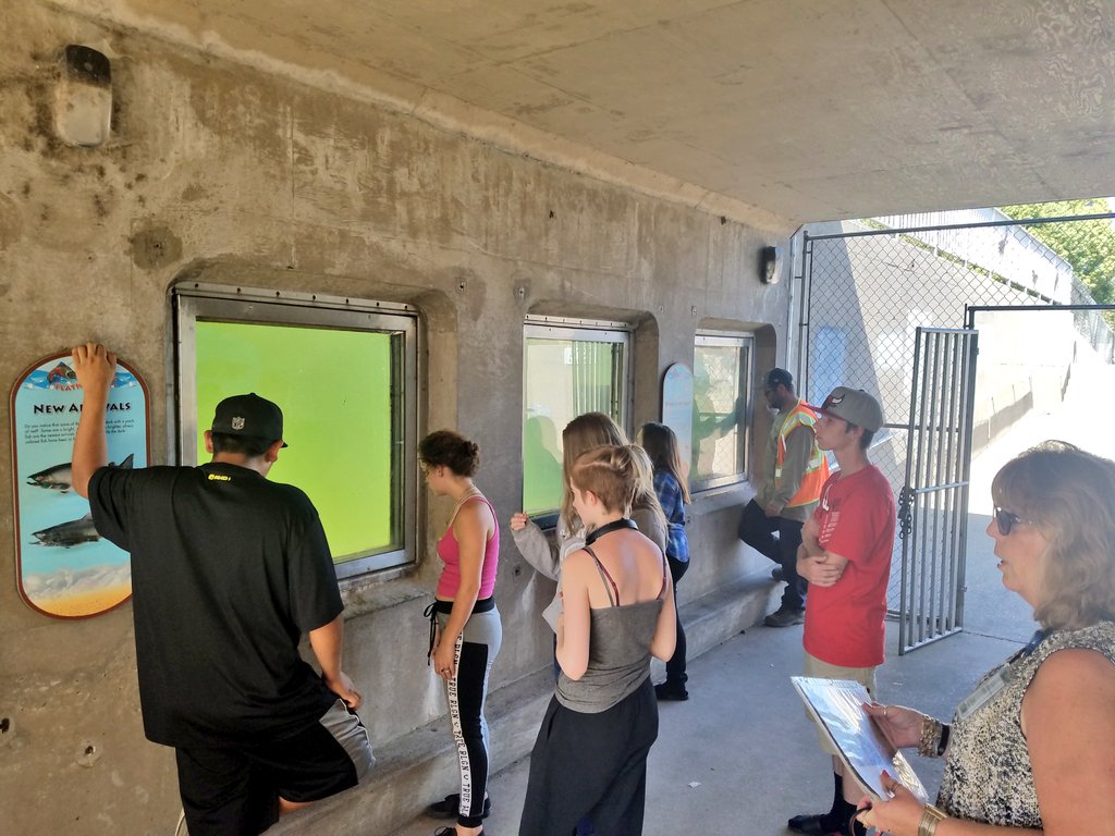 rvrangers's tweet photo. Jana Frazier of the California Department of Water Resources leading a tour of the Feather River Fish Hatchery @rvhswolverine @pusdk12 https://t.co/K57S2r6tnY
