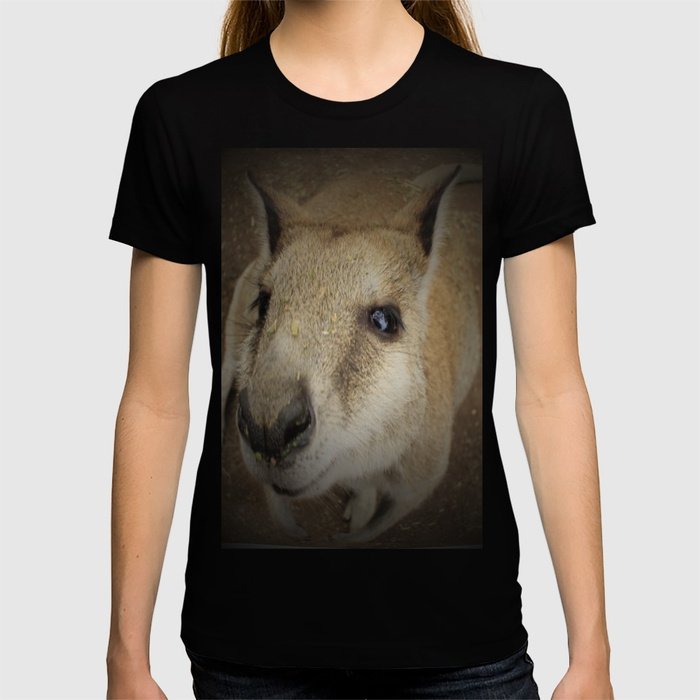 StrewthDesign's tweet image. ⚡️ “#Cuteroo by @strewthdesign”
#Gday #tweeters
#new #kangaroo #design from #Australia
#giftshop #gift #forher #forhim
#animal #nature #landscape #wild  #explore #adventure
#follow #retweet #share #like
#thankyou
#love &amp;amp;  #peace
society6.com/product/kangar…