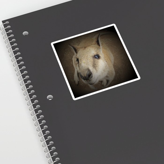 StrewthDesign's tweet image. ⚡️ “#Cuteroo by @strewthdesign”
#Gday #tweeters
#new #kangaroo #design from #Australia
#giftshop #gift #forher #forhim
#animal #nature #landscape #wild  #explore #adventure
#follow #retweet #share #like
#thankyou
#love &amp;amp;  #peace
society6.com/product/kangar…