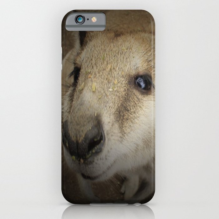 StrewthDesign's tweet image. ⚡️ “#Cuteroo by @strewthdesign”
#Gday #tweeters
#new #kangaroo #design from #Australia
#giftshop #gift #forher #forhim
#animal #nature #landscape #wild  #explore #adventure
#follow #retweet #share #like
#thankyou
#love &amp;amp;  #peace
society6.com/product/kangar…