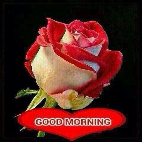 Buona giornata a tutti voi amici da PietroFalco end good morning to you da PietroFalco