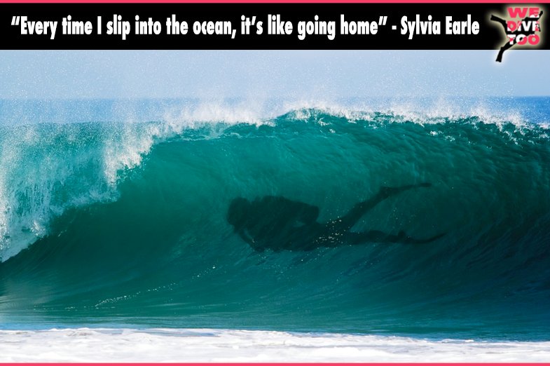 “Every time I slip into the ocean, it’s like going home” - Sylvia Earle 
#scubadiving #scubadiver #wedivetoo