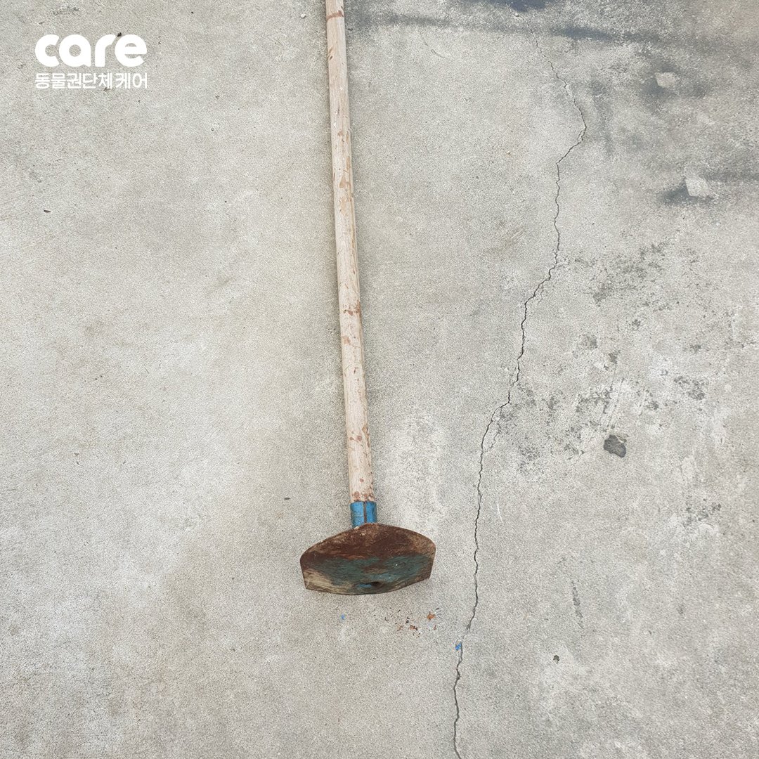 FromCareKorea's tweet photo. <가만히 있던 백구 학대범 강력처벌 촉구>

☑️자세히보고, 서명 바로가기 : https://t.co/Cy23x60h8V https://t.co/X9piOLUX9v