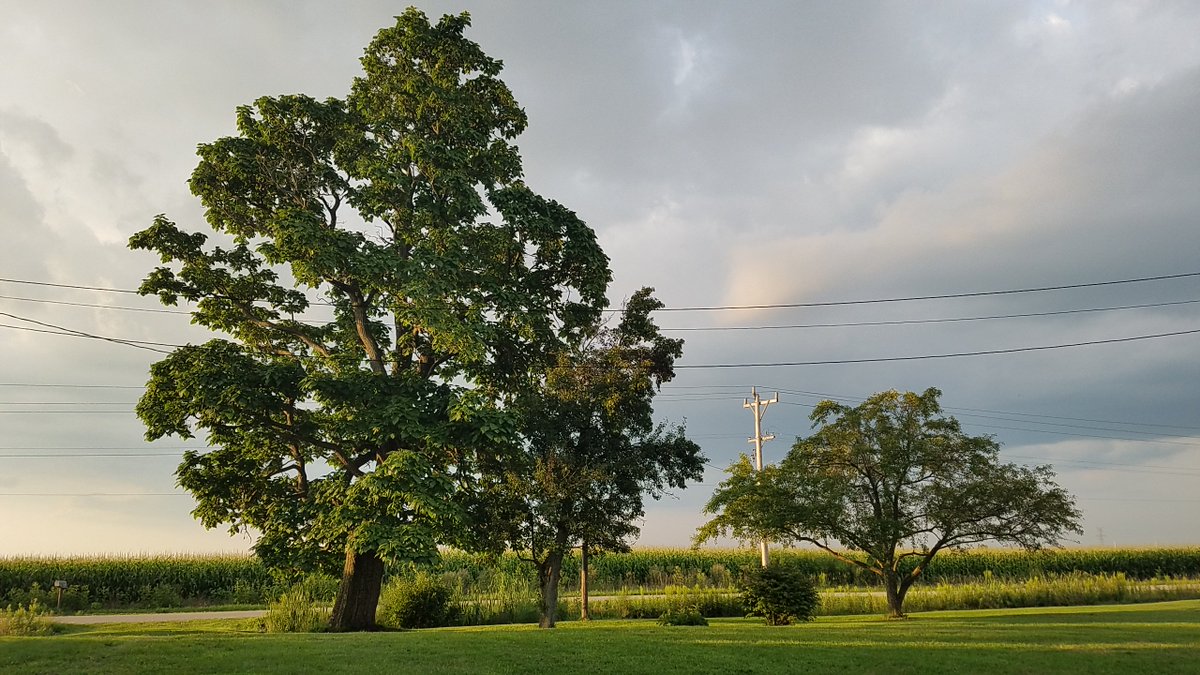 SoMediaLearnLab's tweet photo. The final countdown begins for the parents' #farmhouse for sale in Riga, #Michigan. First open house this Friday. https://t.co/6tn0o1iQzk  #farmhouseviews #forsale  #farmhousestyle https://t.co/ONBZdbHPib