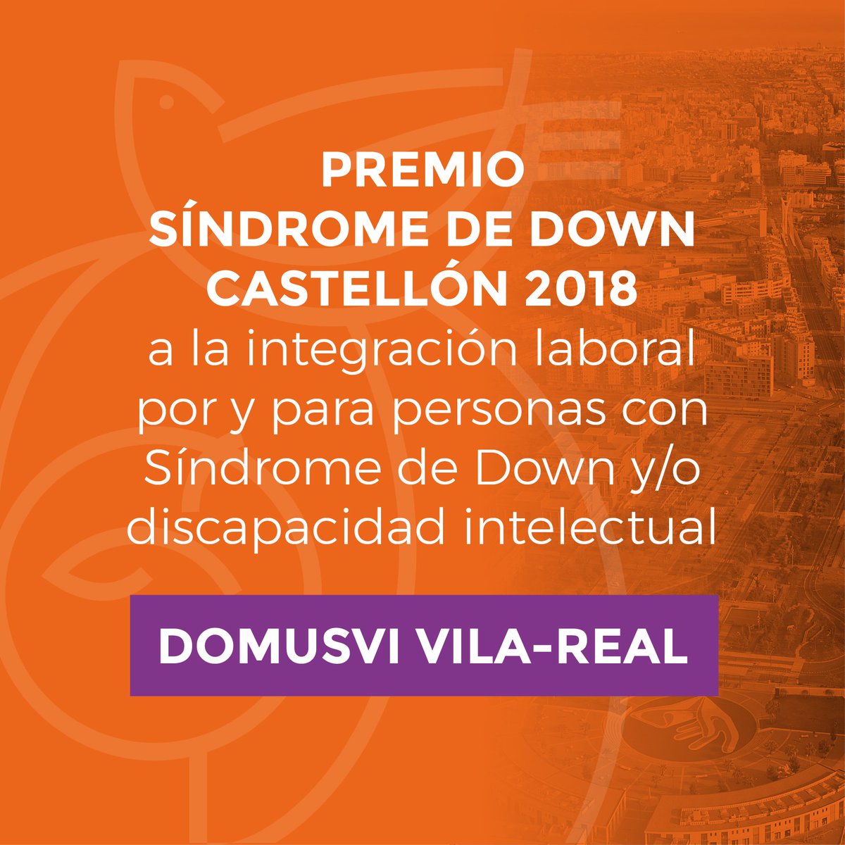 SíndromedeDownCastellón tweet media