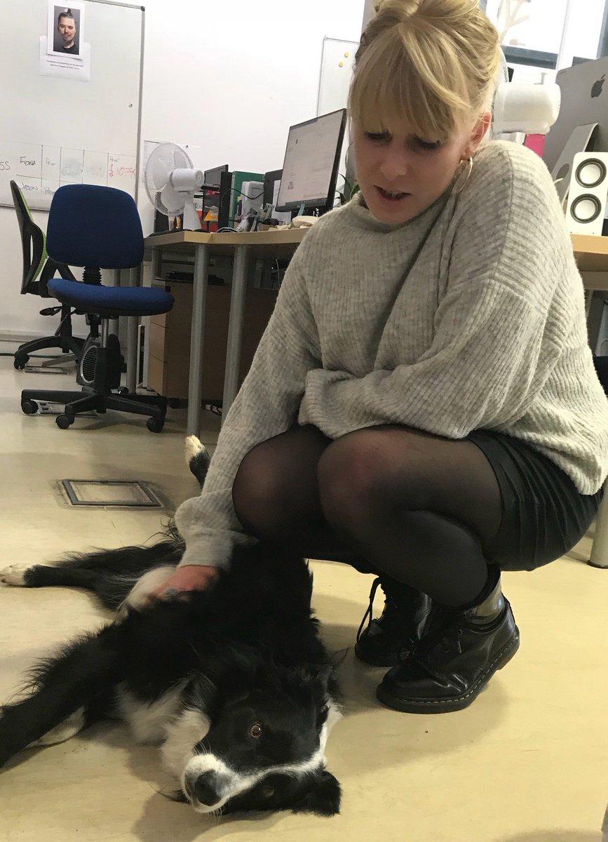 Our office dog Storm is having a great day with <a href="/BPLalerts/">BristolPropertyLive</a> editor Sammy! #officedogs #officelife #tuesday #workinghard