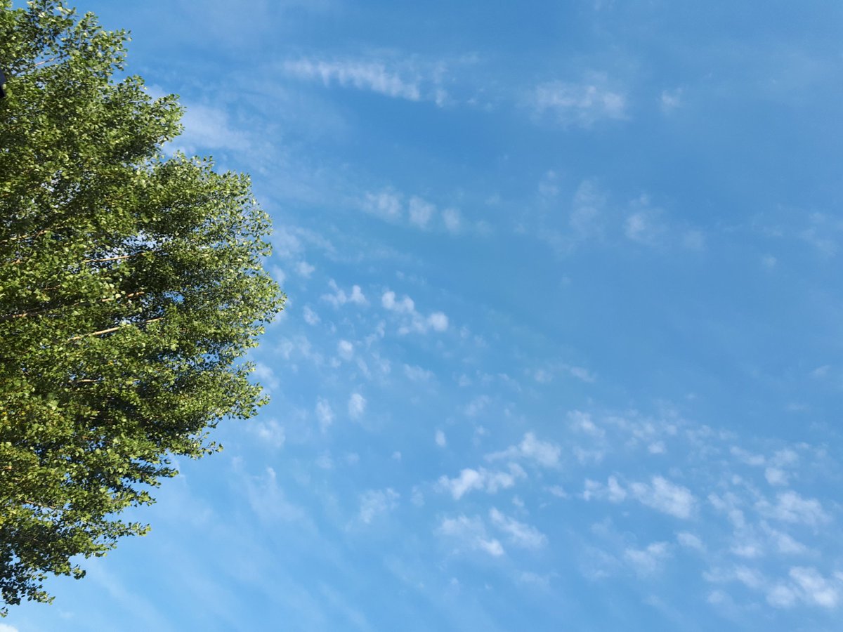 하늘은 이렇게 좋은데~