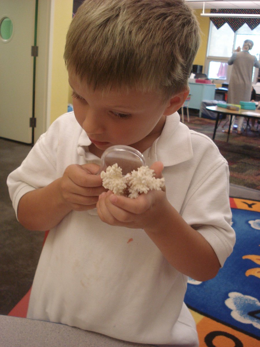 David Rogie tweet media