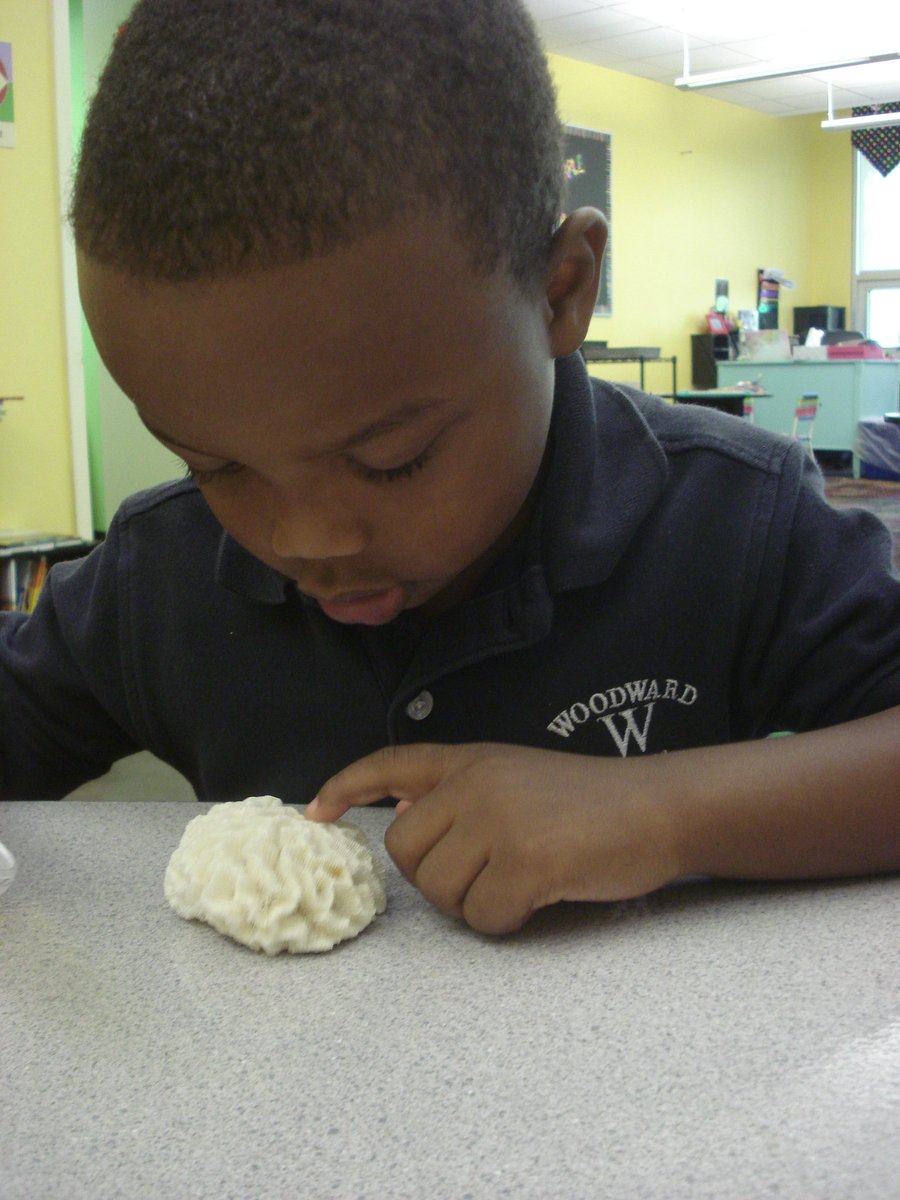 David Rogie tweet media