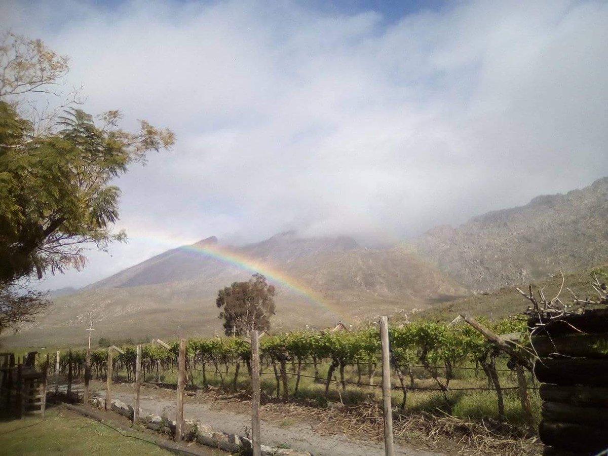 ReenvalSA's tweet photo. Hier op #De #Doorns #klammigheid in die lug ๐ธ Leon le Roux @eNCA @AgriWesKaap @landbou @zarsg https://t.co/W5eoYFVutz