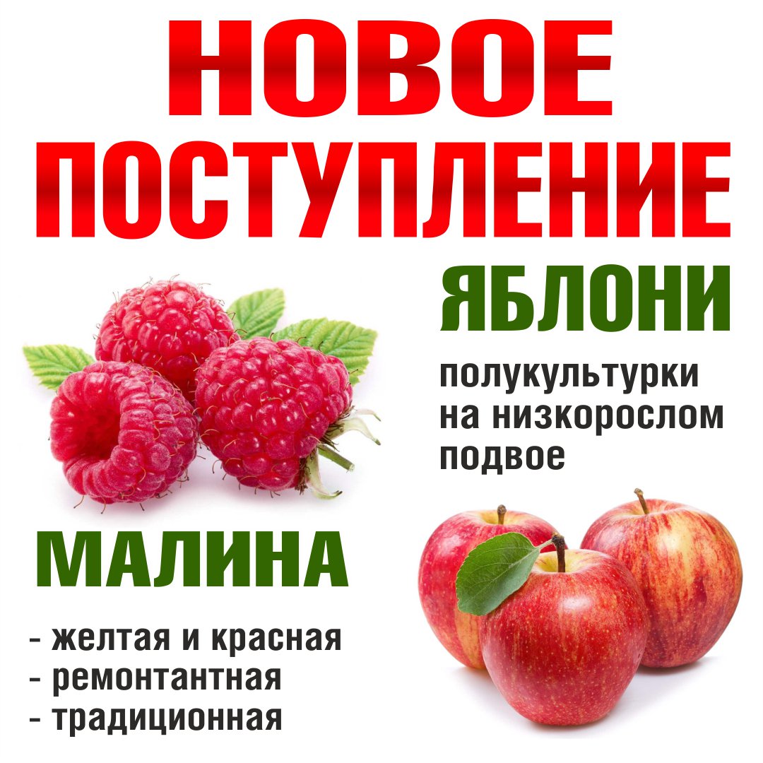 Питомник саженцев баннер