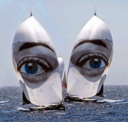 Sailing Latest USA tweet media