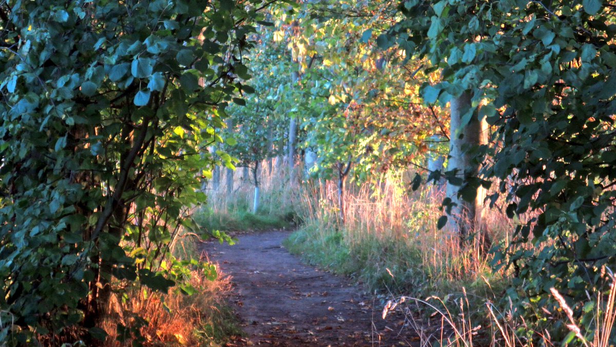 Fancy a ride through this? The route of the East Lothian Trail will be launched this evening. Our free newsletter will give you all the infos you need to ride & enjoy our new route, perfect for microadventures & family bikepacking. #goeastlothian