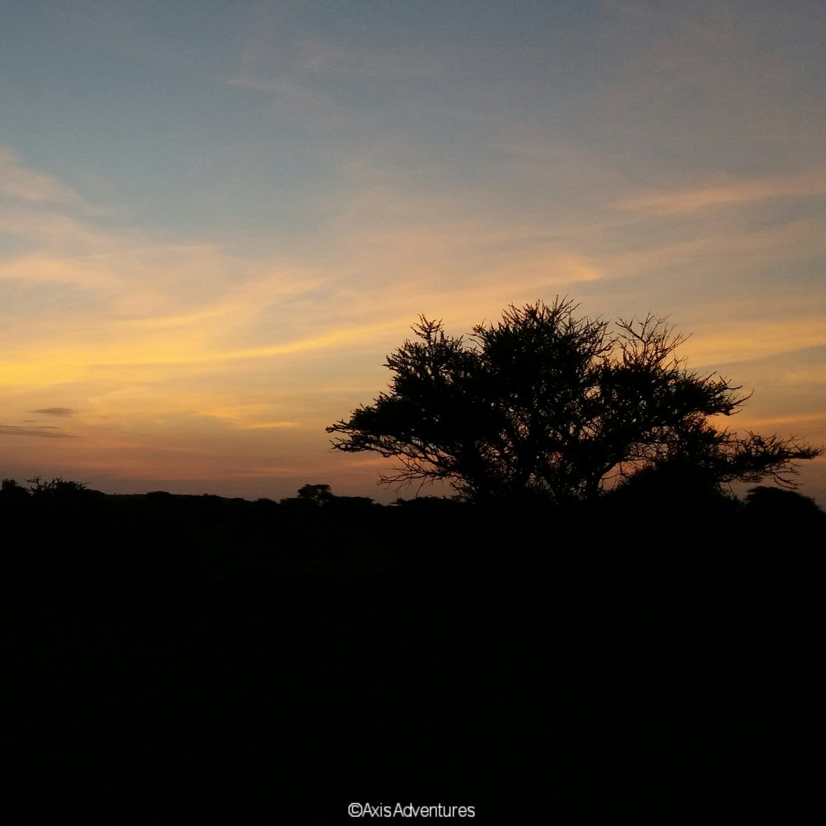 AxisAdventures's tweet photo. Daybreak .......Kimana, Kenya 
.
.
.
.
.
#Axisadventures #Africa #kenya #natgeoafrica #natgeo #camping  #safaris  #adventures #kenyapower #EcotourismKenya #AHIF #Travelphotography #MagicalKenya #TembeAKenya https://t.co/zHz7lc3PCG