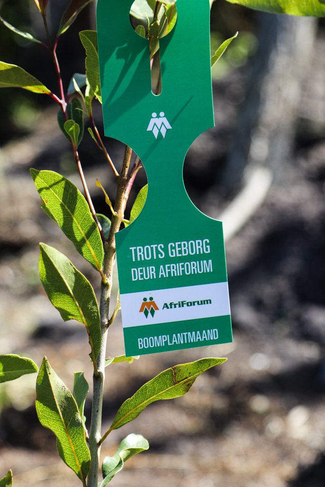 .<a href="/afriforum/">AfriForum</a> plant 3 000 bome regoor Suid-Afrika en sluit 2018-boomplantprojek in Knysna af. "Die inisiatief is deel van ń groter poging om ń gesonde, volhoubare omgewing vir nageslagte te verseker" <a href="/MarcusAfr/">Marcus Pawson</a> <a href="/KnysnaPlett/">Knysna-Plett Herald</a> <a href="/Die_Burger/">DieBurger</a> <a href="/elisetempelhoff/">elise tempelhoff</a> <a href="/maroelamedia/">Maroela Media</a> <a href="/ErnstRoets/">Ernst Roets</a>