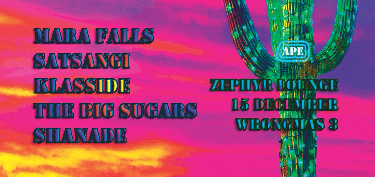 APEPROMO's tweet photo. Wrongmas 3 the cactus funger salute - Zephyr Lounge 15 December @shanademusic @KLASSIDE @GordonSchofield @MaraFalls @TheZephyrLounge @BBCIntroCW https://t.co/doEdUwE5IF