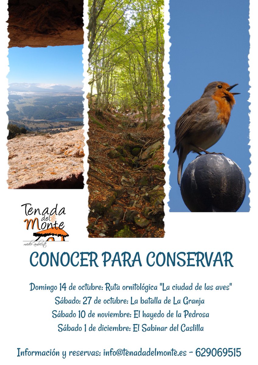 Ya están aquí nuestras actividades de otoño para disfrutar de la naturaleza, los paisajes y las historias que os vamos a contar.