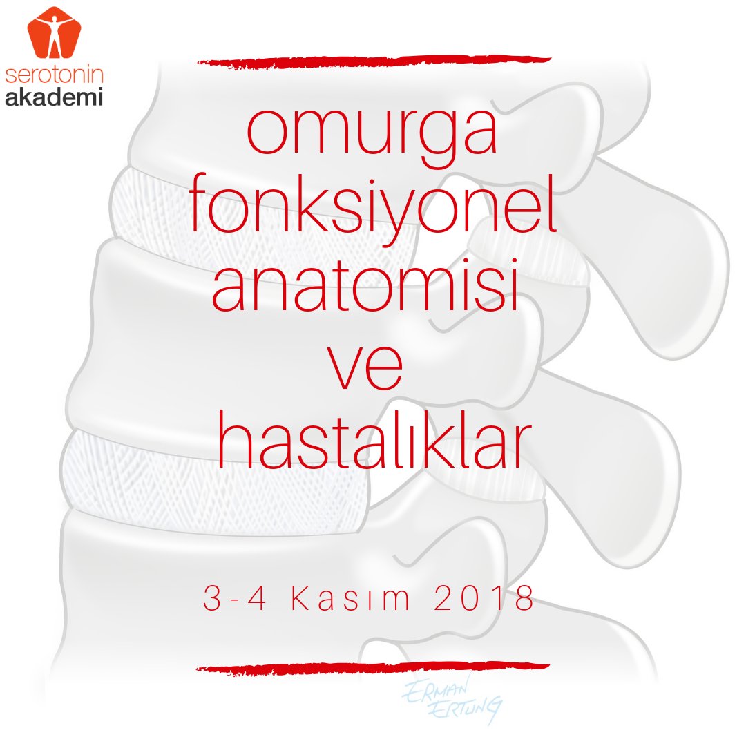 Serotonin2010's tweet photo. 3-4 Kasım / Omurga Fonksiyonel Anatomisi ve Hastalıklar - https://t.co/rjHUUK2gjM https://t.co/NQmwJzk0k2