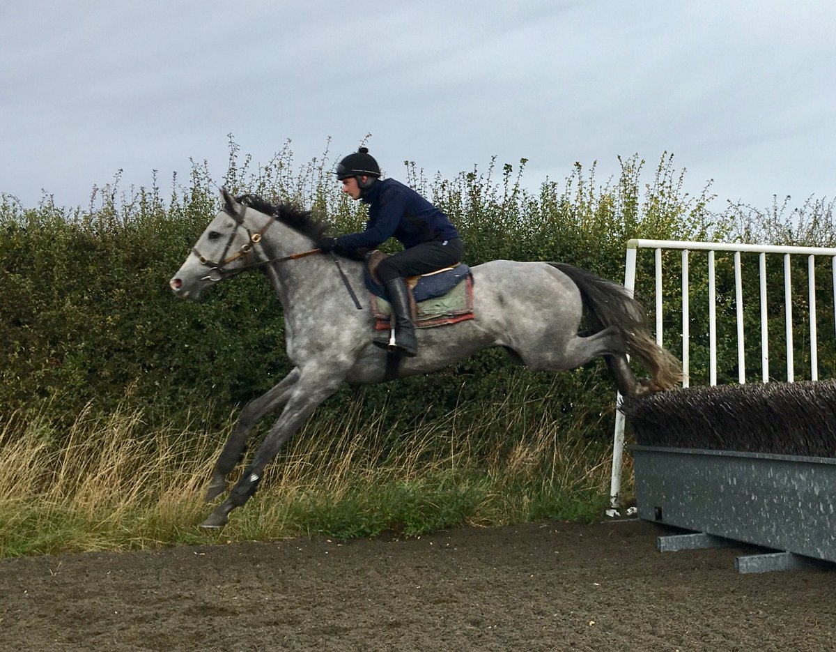 JohnWathenBerry's tweet photo. Thank you very much @jackquinlan92 for an excellent jumping lesson for #WhiteValiant at the Links @NewmarketGallop this morning. God willing, runs @FontwellPark Saturday. https://t.co/phg3MNfXww