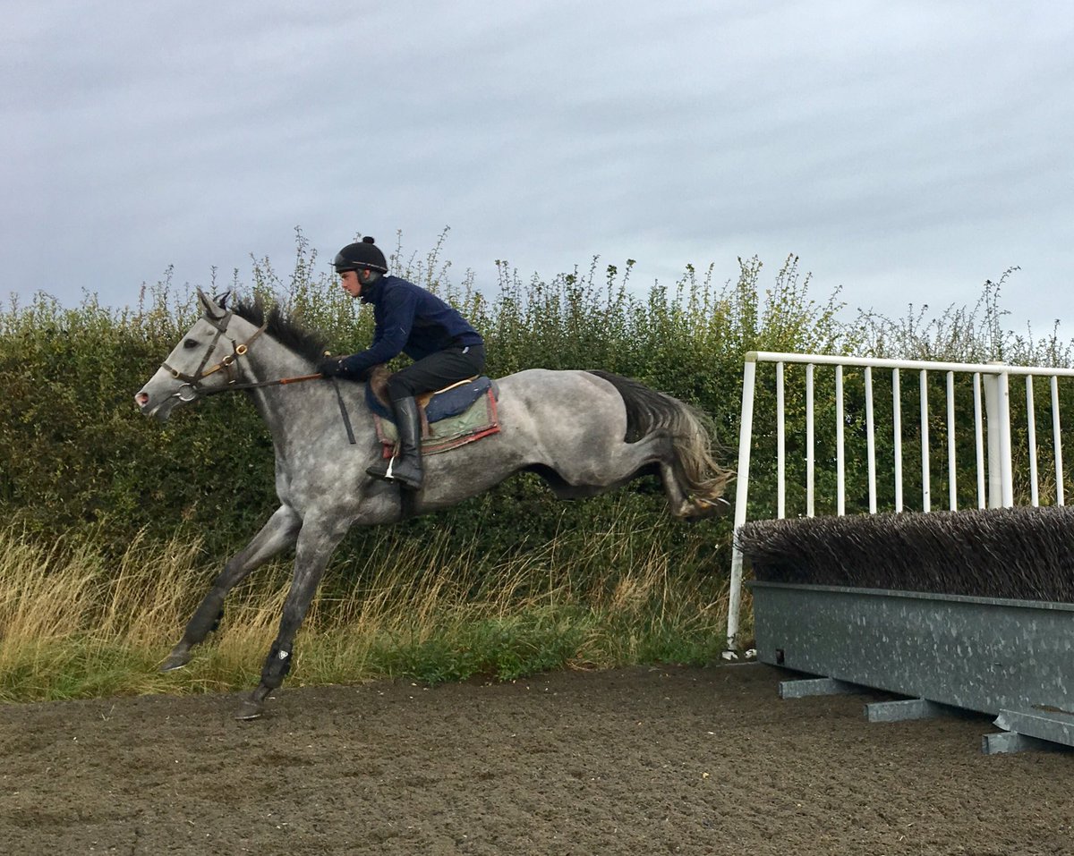 JohnWathenBerry's tweet photo. Thank you very much @jackquinlan92 for an excellent jumping lesson for #WhiteValiant at the Links @NewmarketGallop this morning. God willing, runs @FontwellPark Saturday. https://t.co/phg3MNfXww