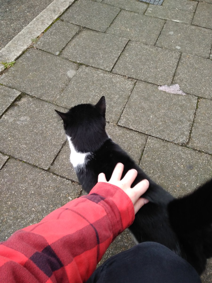 chuubins's tweet photo. good morning i met this cute little friend on my way to school i hope yalls days will start as happy as mine!!! https://t.co/MPH9PEdP6j