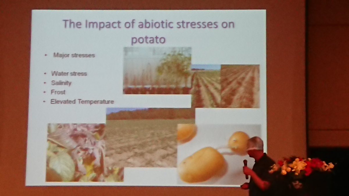 potatodoctor's tweet photo. Mark Taylor of @JamesHuttonInst talking about potato tuber life cycle at #SOL2018 @potatoathutton https://t.co/GMTrqByw4R