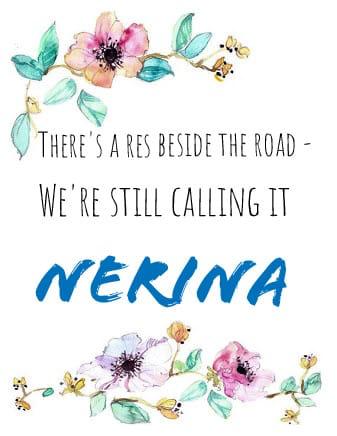 #nerinalove💙