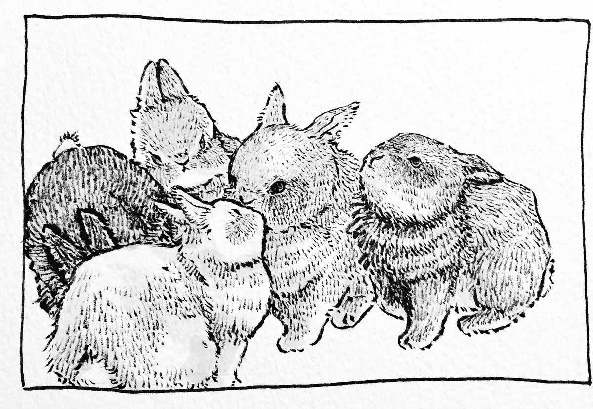 #inktober  #inktober2018  
むぎゅむぎゅ 
