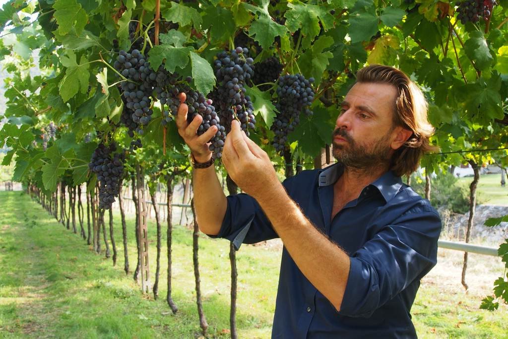 scarci's tweet photo. @CollinaCiliegi un progetto tra passione, orgoglio e sfida imprenditoriale #amarone  @C_Valpolicella #vini #cadelmorowineretreat @valpantenashire @MassimoGianolli @ispropress 
https://t.co/rbZN7ksUjI https://t.co/zXVyoUuiYi