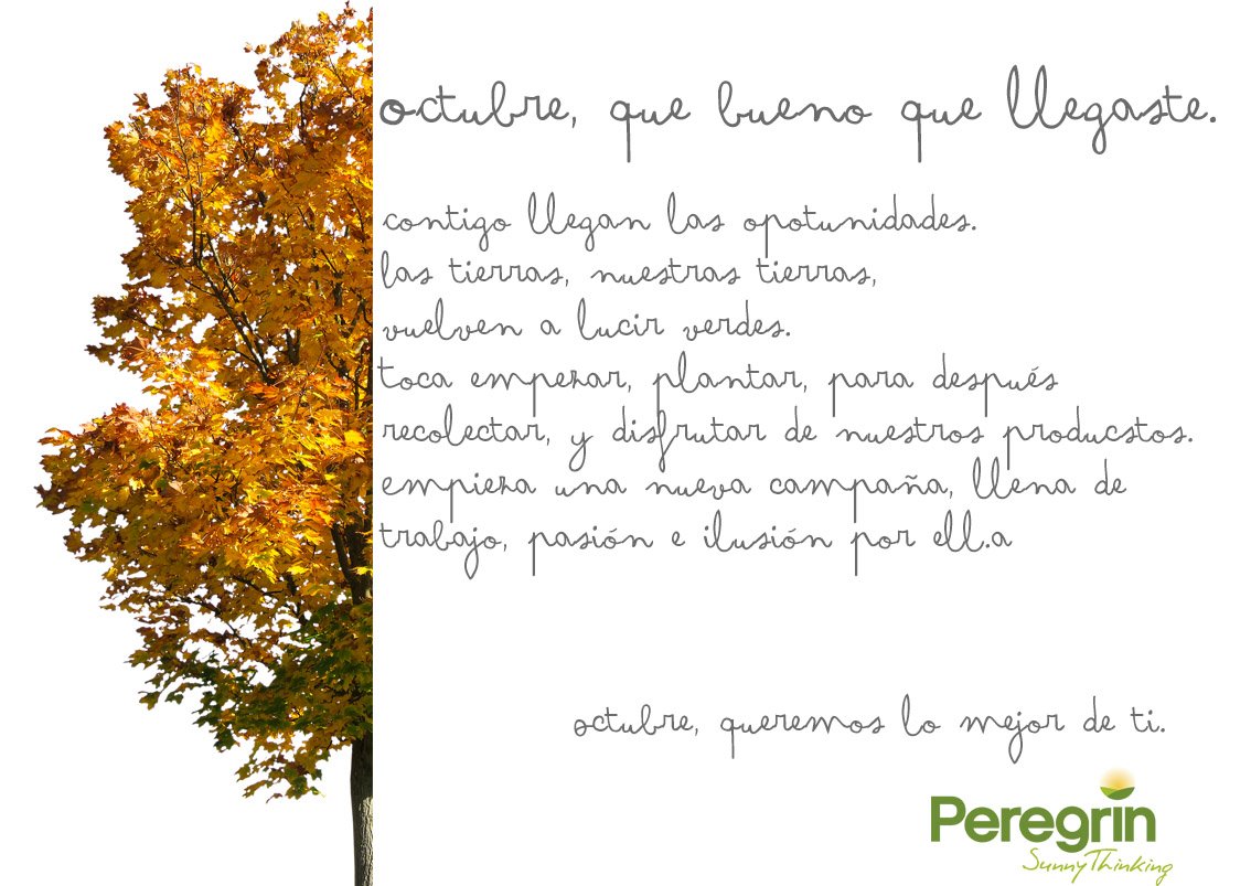 sat9989peregrin's tweet photo. ¡Buenos días!
🍁 O C T U B R E 🍁
Octubre nos traerá cosas maravillosas. 
#Octubre #October #Peregrín #SunnyThinking #Contigo #HealthyLove #Productos #Products #Ajo #Garlic #Lettuce #Lechuga #Almería #Pulpí #Agricultura https://t.co/XcaI9LXjtb