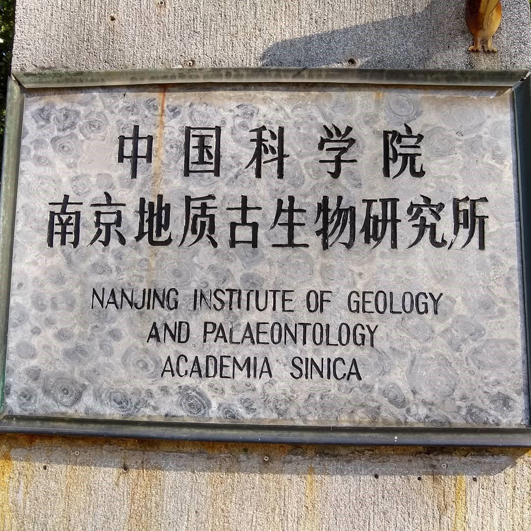 CardiffCurator's tweet photo. Museum palaeontologist Caroline Buttler invited to the Institute of Geology and Palaeontology along with @NHMbryozoa in Nanjing to research Palaeozoic bryozoans. Studying over 200 thin sections, including some of oldest bryozoans in the world https://t.co/LX7hleuP0B