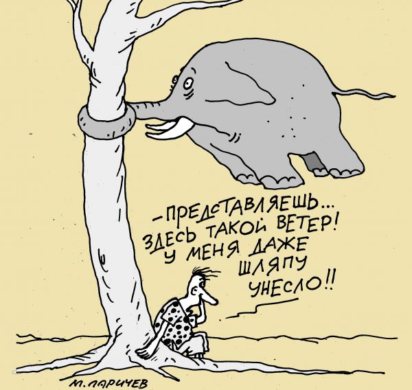 Карикатура шляпа