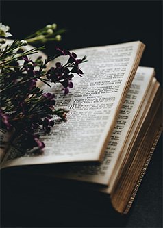 jerusalemgifts's tweet photo. https://t.co/QEBvi5PCam
The primary component of anointing oil is pure, first-pressed olive oil. We read about the special significance of the olive tree and its fruit throughout the Bible, with many references to the MESSIAH entwined in the symbolism... https://t.co/JP8O8DsNvp
