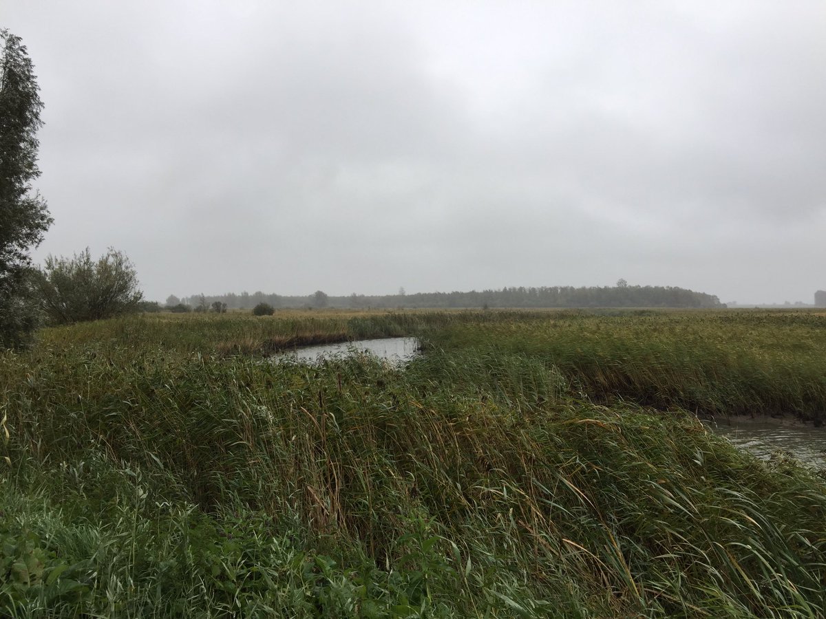 Alex_vantHof's tweet photo. Voor #verkeersonderzoek reis ik door het hele land. En dan kom je af en toe op best mooie plekjes terecht. Mooi werk @sweconederland https://t.co/ElyKKDMtYV