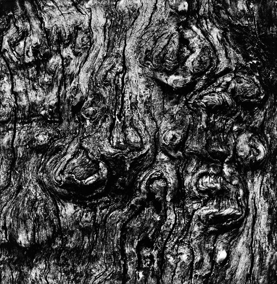 W6FCVisualArts's tweet photo. For today's Year 1 A Level Photography lesson - Shoot Like Siskind #texture #textured #siskind #aaronsiskind #photography #blackandwhite #blackandwhitechallenge #blackandwhitephotography https://t.co/sKAkAHSt8R