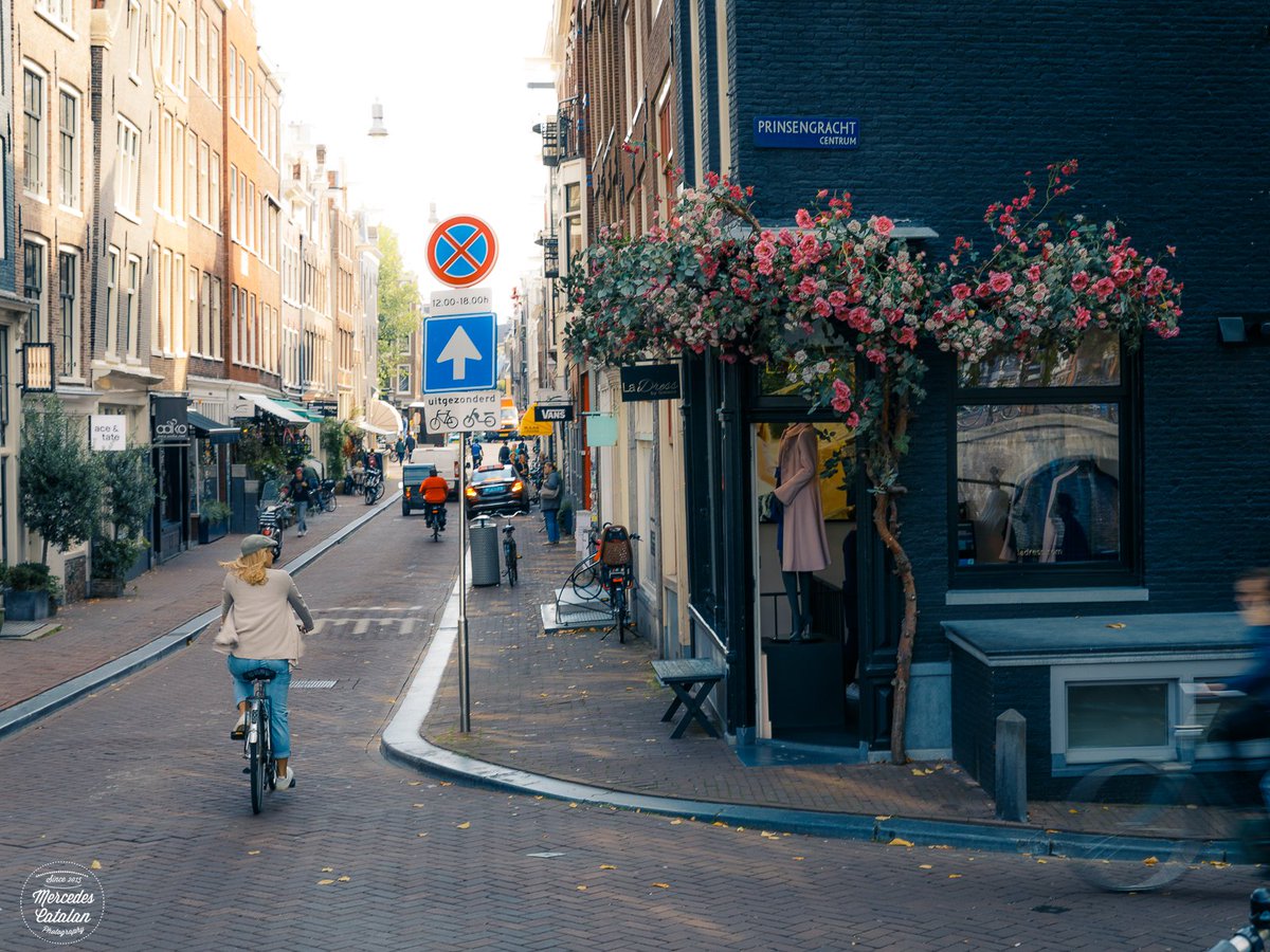 Mercedescatalan's tweet photo. The pretty streets of Amsterdam #ninestreets #amsterdam #Netherlands #canon #canon5dMarkIV #prettycities #travel #photography #autumn #PintoFotografia #thephotohour #stormhour #beautifuldestinations https://t.co/KLcqi2V0gV https://t.co/yIUNQGFOJA