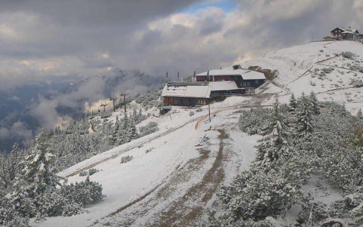 nevasport tweet media