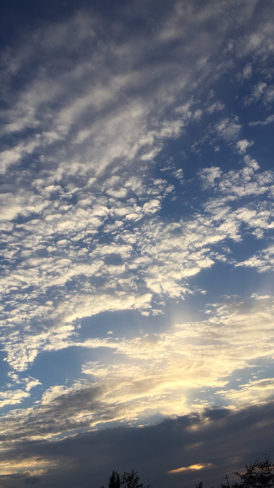 がけっぷち 秋の空って最高にエモい T Co Sxmcbcix03 Twitter