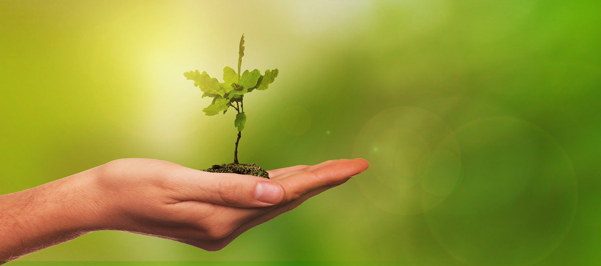 TCVtweets's tweet photo. #PlantATree

Very proud to announce our 2nd year partnering with @MayorofLondon to give away FREE trees for #London. This year we have a whopping 25,000 trees available in packs of 50 for #schools, community groups &amp; #parks 💚

Please share: https://t.co/fPbexohlP0 https://t.co/ITxXa63X9X
