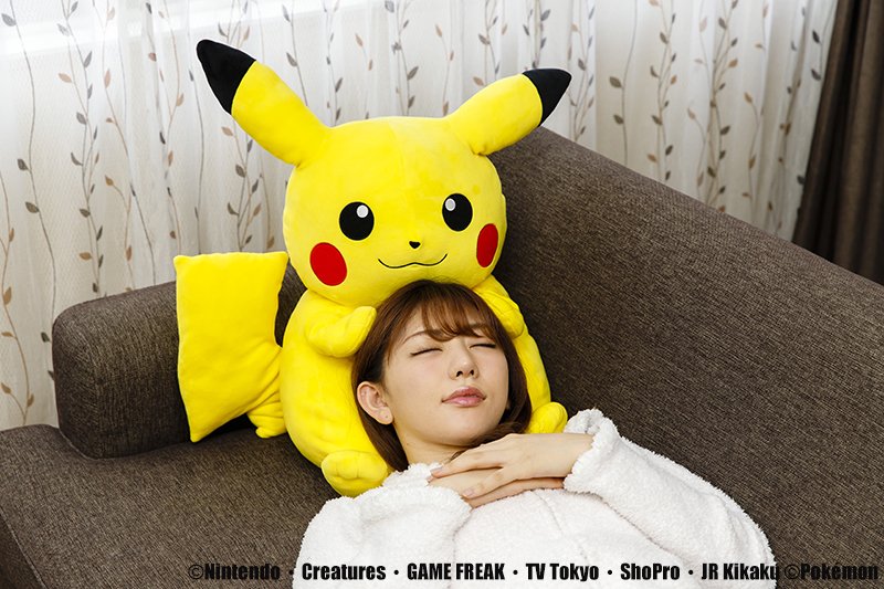 むぎゅむぎゅっとつつまれぬいぐるみ おっきなピカチュウとイーブイ