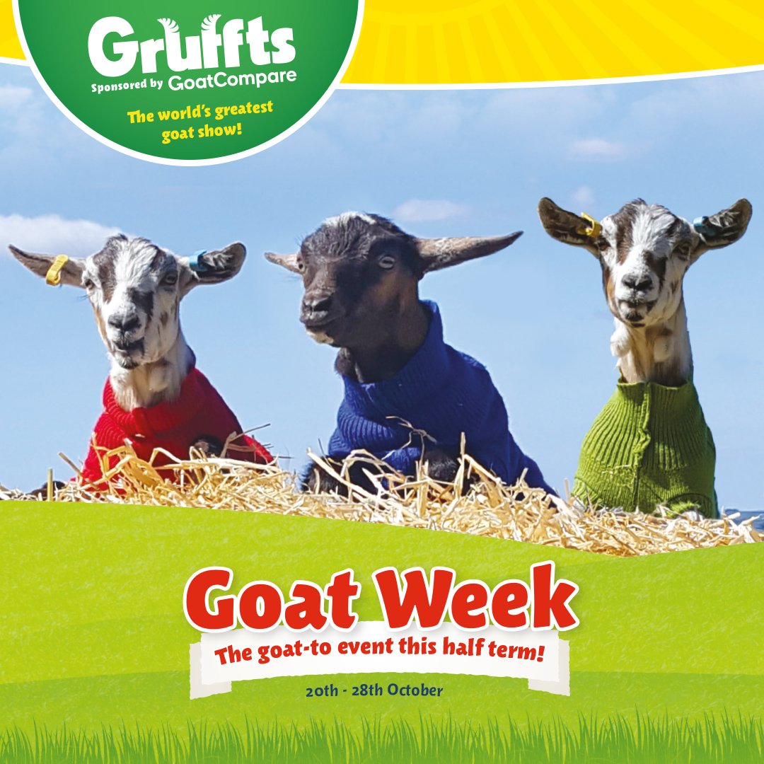 PennywellFarm's tweet photo. Don't miss the goat-to event of the year, this #HalfTerm @PennywellFarm #goats #animals #dayout #fulldayoffun https://t.co/R6pX4LroWu